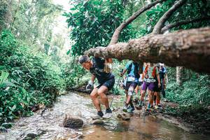 BIB: 
                            <button type="button" onclick="openModal(25373866)" class="btn btn-primary btn-sm float-right btn-popup" data-toggle="modal" data-target=".modal-high-quality">
                        <i class="fas fa-shopping-cart"></i> Add to Cart
                    </button>
                                            <button type="button" onclick="isThisMe(25373866, true)" class="btn btn-success btn-sm float-right btn-popup btn-isme hidden" data-toggle="tooltip" data-placement="bottom" title="นี่คือรูปของคุณใช่ไหม คลิกที่นี่เพื่อเอาเข้าอัลบั้ม">
                        <i class="fas fa-plus"></i> Add to album
                    </button>
                    <button type="button" onclick="isThisMe(25373866, false)" class="btn btn-warning btn-sm float-right btn-popup btn-isnotme hidden">
                        <i class="fas fa-ban"></i> Remove from album
                    </button>